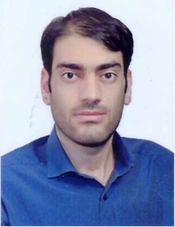 Mohsen Raji